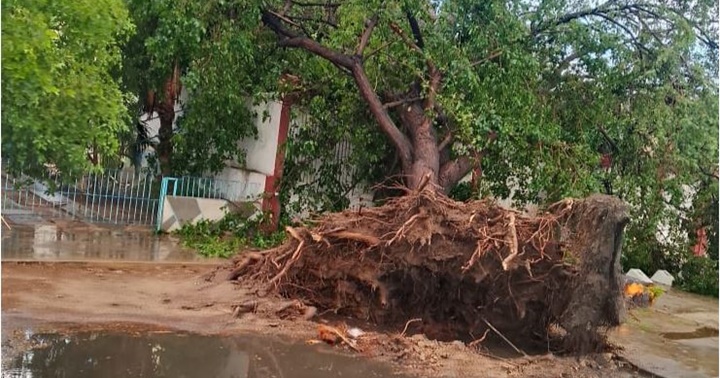 Lluvias Cumaná 11 5 2025 2