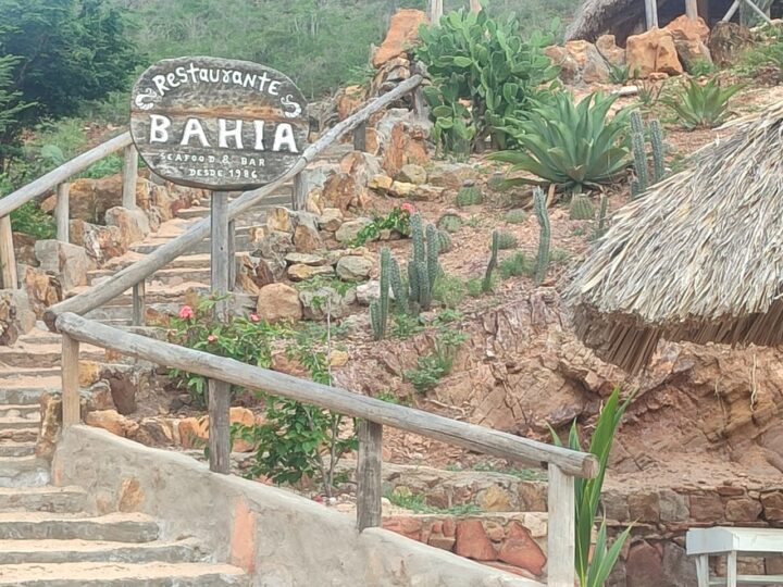 Imagen de WhatsApp 2025 07 14 a las 20.25.31 2ab168fe