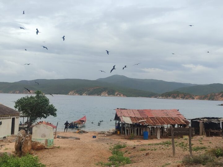 Imagen de WhatsApp 2025 07 14 a las 20.25.37 567e683f