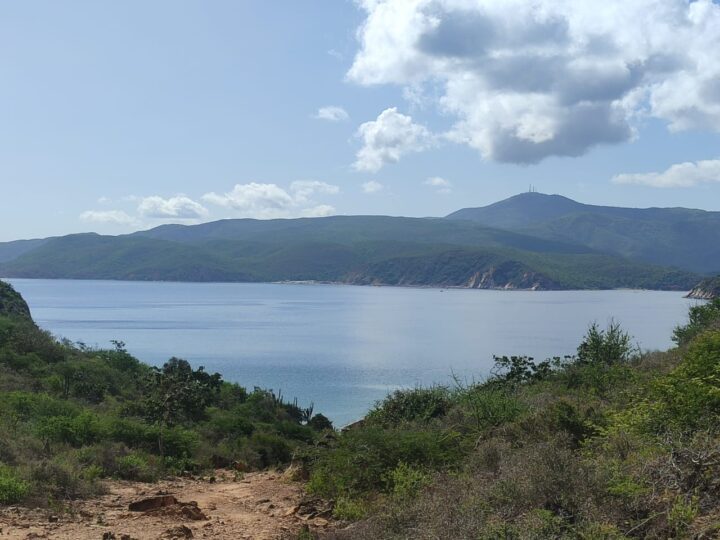 Imagen de WhatsApp 2025 07 24 a las 15.14.00 6843a757