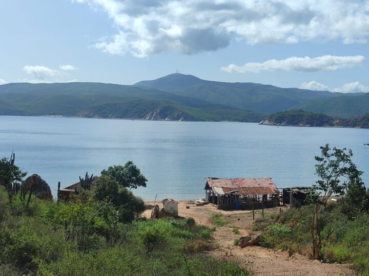 Imagen de WhatsApp 2025 07 24 a las 15.14.01 acb475b9