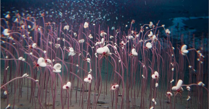 Siboglínidos que 9.533 mts mar Kamchatka Pacifico