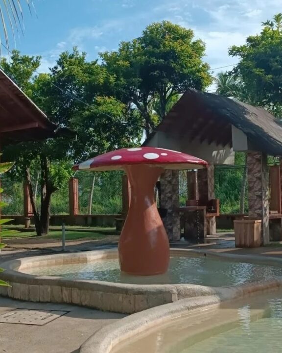 476233786 937559261851744 8231399954471245828 n