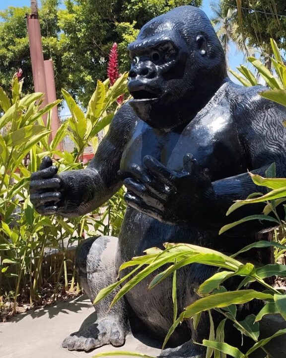 476654422 937559508518386 7089719409886841292 n