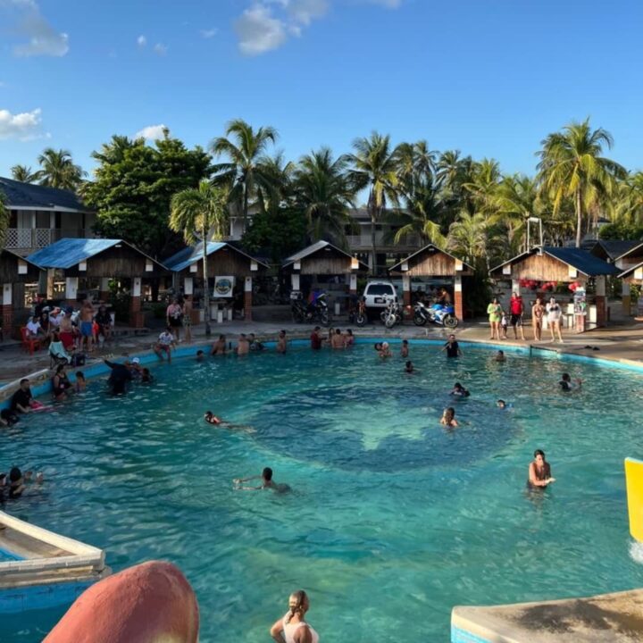 478950505 943041324636871 8110616305791797562 n