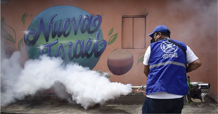 Fumigación