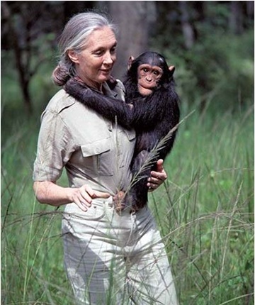 Jane Goodall 1