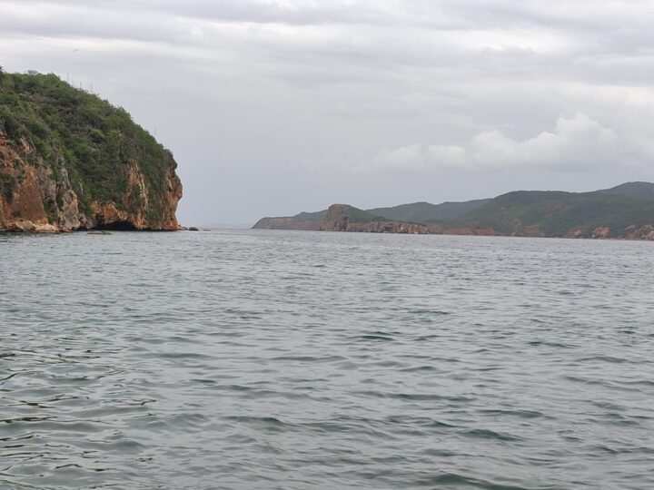 Imagen de WhatsApp 2025 07 14 a las 20.25.38 a40486ae