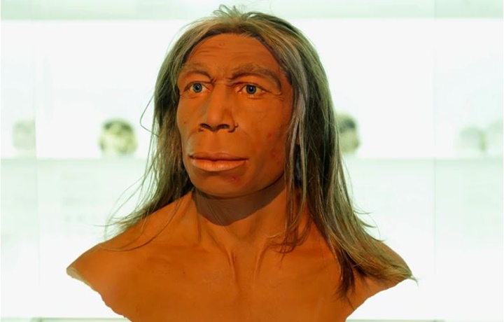 Neandertales 4