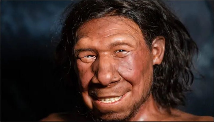 Neandertales 1