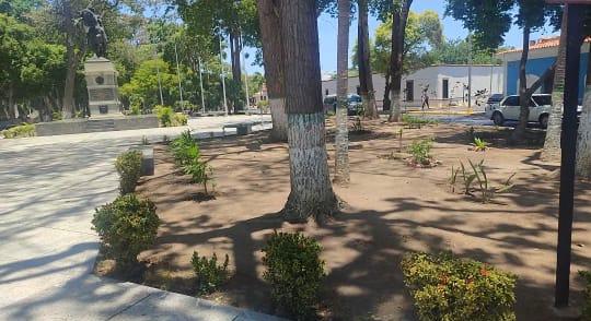 WhatsApp Image 2026 04 10 at 5.32.28 AM