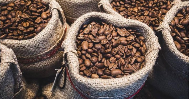 Los caficultores venezolanos denunciaron que les están pagando 65 dólares menos por su quintal de café